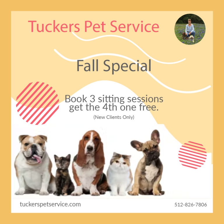 Fall Special ad